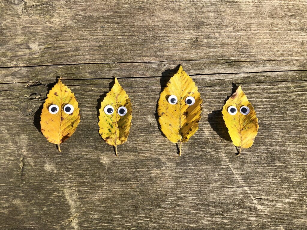 wds careers minion tasks